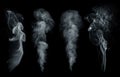 Fog or smoke, steam, vapor set isolated on black background. White cloudiness, mist or smog background