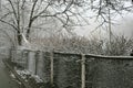 Fog, snow bush and fence