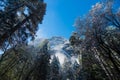 Fog and Snow on Trees and Cliffs of Yosemite National Park, California in Winter During Sunrise Royalty Free Stock Photo