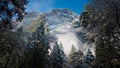 Fog and Snow on Trees and Cliffs of Yosemite National Park, California in Winter During Sunrise Royalty Free Stock Photo