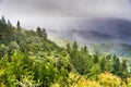 Fog and storm clouds covering the green hills and valleys of Santa Cruz mountains