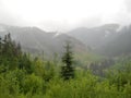 Fog after the summer rain in the Carpathian Mountains, Ukraine Royalty Free Stock Photo