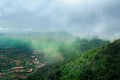 Fog, Sunrise - Dawn, Tropical Climate, Tea Crop, Thailand Royalty Free Stock Photo