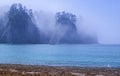 Fog surrounds Rock seastacks with trees on the Pacific coast of Washington state