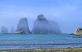 Fog surrounds seastacks with trees on the Pacific coast of Washington state