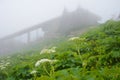 Fog surrounds a the visitor`s center at Logan`s Pas in Glacier. Royalty Free Stock Photo