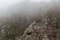 Fog in the Ucka mountains on the Istrien peninsula