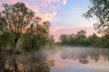 Fog and warm sky over the Narew river, Poland. Royalty Free Stock Photo