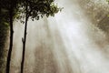 Fog in the Water fall. Royalty Free Stock Photo