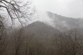 Fog, Winter Landscape in the Smokies Royalty Free Stock Photo