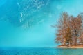 Fog wrapping around trees at lake Bohinj shore in cold february morning Royalty Free Stock Photo