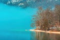 Fog wrapping around trees at lake Bohinj shore in cold february morning Royalty Free Stock Photo