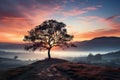 Fogbound tranquility solitary tree at sunrise, sunrise and sunset wallpaper Royalty Free Stock Photo