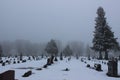 Foggy cemetery in late winter Royalty Free Stock Photo