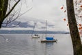 Fogging nature scene and sheltered sailboat in winter water and view through trees on lake Lugano with fog