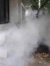 Fogging for pest control during the monsoon