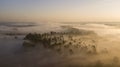 The foggy aerial view and atmospheric trees in the morning