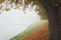 Foggy alley in autumn city park, beautiful misty landscape, outdoor travel background, Uzhhorod, Ukraine Royalty Free Stock Photo