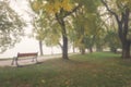 Foggy alley in autumn city park, beautiful misty landscape, outdoor travel background, Uzhhorod, Ukraine Royalty Free Stock Photo