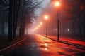 Foggy alley in the city park at night with street lamps, An empty illuminated country asphalt road through the trees and village Royalty Free Stock Photo