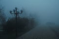 foggy alley with lanterns in the park with fog mist in morning in autumn Royalty Free Stock Photo