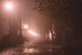 Foggy alley in night city park, misty landscape with burning lanterns, trees and benches Royalty Free Stock Photo