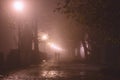 Foggy alley in night city park, misty landscape with burning lanterns, trees and benches Royalty Free Stock Photo