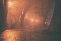 Foggy alley in night city park, blurred defocused background for your design Royalty Free Stock Photo