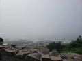 Foggy along the coast of Oregon