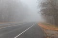 Foggy asphalt road through forest at autumn