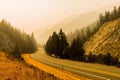 Foggy asphalt road and thick forest in the countryside