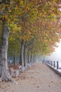 Foggy autumn Royalty Free Stock Photo