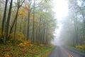 Foggy autumn drive