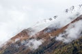 Foggy autumn or fall alpine mountain slopes with orange colored larch trees. Peaceful traveling, nature and countryside Royalty Free Stock Photo