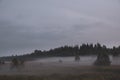 Foggy autumn landscape with a field Royalty Free Stock Photo