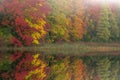 Autumn Reflections Douglas Lake in Fog Royalty Free Stock Photo