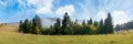 Foggy autumn landscape panorama. spruce trees on the meadow Royalty Free Stock Photo