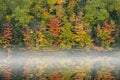 Autumn, Thornton Lake in Fog Royalty Free Stock Photo