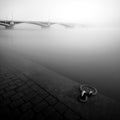 Foggy autumn mood at Vltava river. Detail of riverbank. Black and white atmosphere, Prague, Czech republic Royalty Free Stock Photo