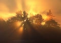 Amazing sun rays .Foggy autumn morning in Lithuania .