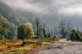 Foggy Autumn Morning in Romania