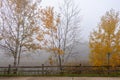 Foggy autumn morning Royalty Free Stock Photo