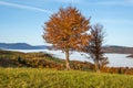 Foggy  autumn mountains scene. Peaceful picturesque traveling, seasonal, nature and countryside beauty concept scene. Carpathian Royalty Free Stock Photo