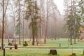 Foggy autumn park in cloudy cold weather, gloomy paints of fall. Deserted forest. Frost on green grass. Royalty Free Stock Photo