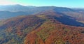 A foggy autumn scene in Carpathian mountains with early morning light of morning Royalty Free Stock Photo