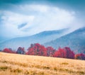 Foggy autumn scene of mountain valley. Magic morning scene of Carpathian mountains, Kvasy village location, Ukraine, Europe. Beaut Royalty Free Stock Photo