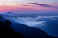 Foggy autumn or summer landscape. Misty foggy morning with sunrise in a valley of Bohemian Switzerland park. Detail of forest. Royalty Free Stock Photo