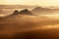 Foggy autumn or summer landscape. Misty foggy morning with sunrise in a valley of Bohemian Switzerland park. Detail of forest. Royalty Free Stock Photo