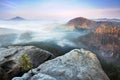 Foggy autumn or summer landscape. Misty foggy morning with sunrise in a valley of Bohemian Switzerland park. Detail of forest. Royalty Free Stock Photo