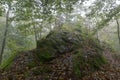 Foggy autumn Thuringian forest with an immense rough stone covered with moss and fallen foliage Royalty Free Stock Photo